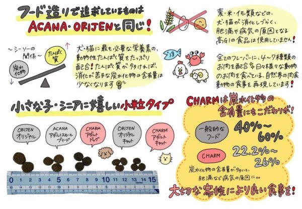 画像3: チャーム　パピー (3)